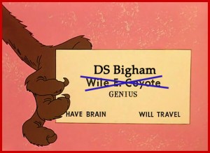 DS Bigham - Genius