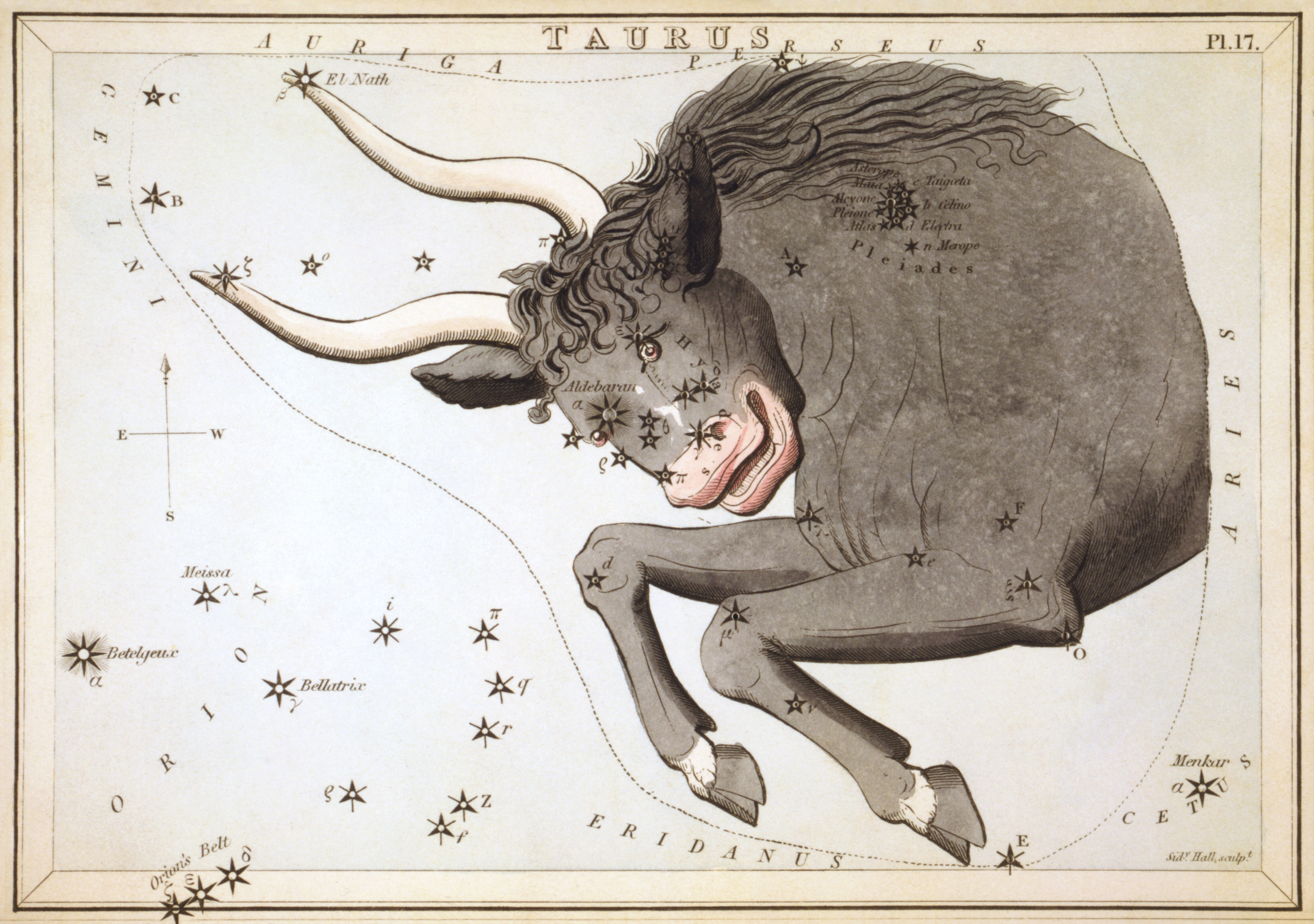 Taurus, the constellation.